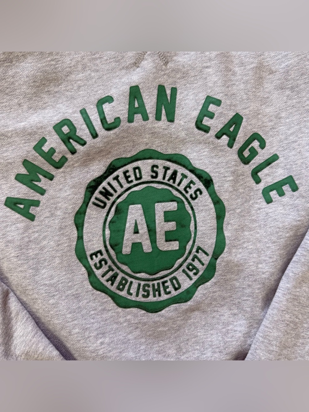 American Eagle Gray Graphic Crewneck Sweatshirt Green Logo Pullover - Picture 2 of 5